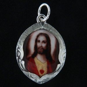 Stříbrný přívěs 14243 obraz