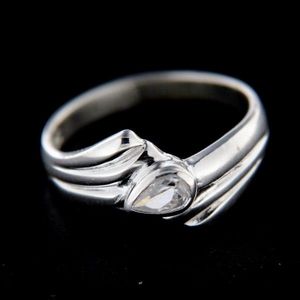 Stříbrný prsten 14779 obraz