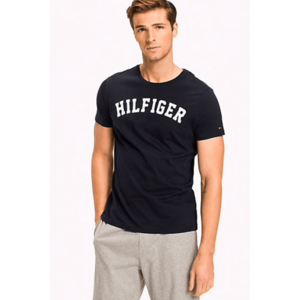 Tommy Hilfiger Pánské Logo Tričko - modré Velikost produktu: S obraz