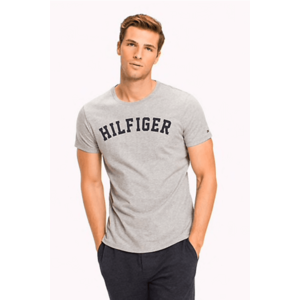 Tommy Hilfiger pánské Logo Tričko - šedé Velikost: S obraz
