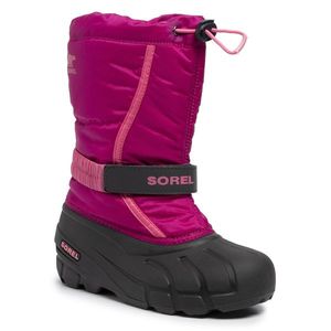 Sorel Youth Flurry NY1965 obraz