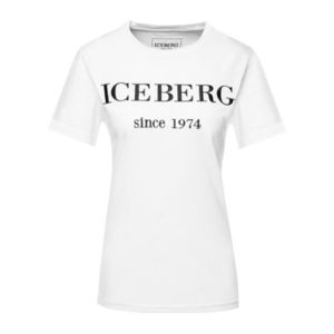 T-Shirt Iceberg obraz