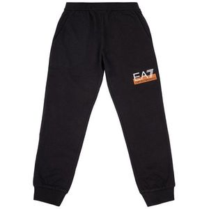 Teplákové kalhoty EA7 Emporio Armani obraz