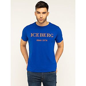 T-Shirt Iceberg obraz