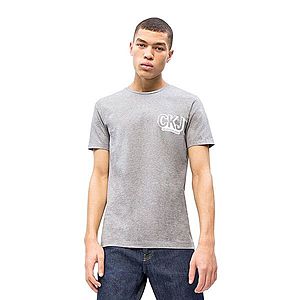 Calvin Klein pánské šedé tričko Graphic obraz