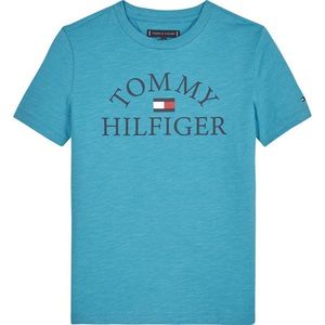 T-Shirt TOMMY HILFIGER obraz