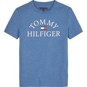 T-Shirt TOMMY HILFIGER obraz