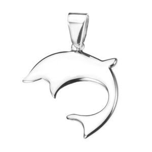 Ocelový delfín - lesklý přívěsek obraz