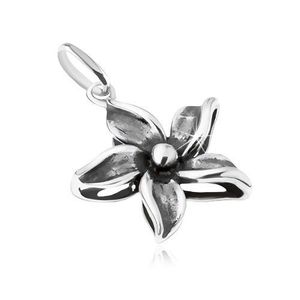 Ozdobně patinovaný přívěsek ve tvaru květu, stříbro 925 obraz