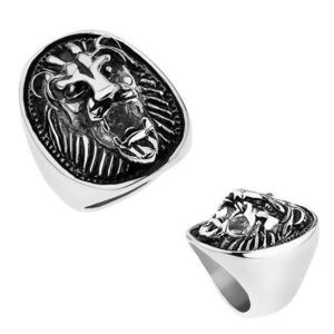 Masivní ocelový prsten stříbrné barvy, vypouklá hlava lva s patinou - Velikost: 55 obraz