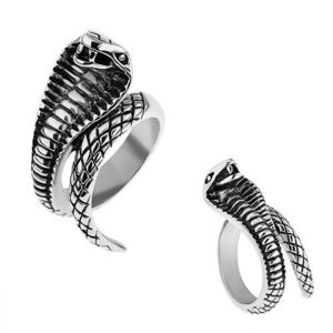 Ocelový prsten stříbrné barvy, vypouklá patinovaná kobra - Velikost: 57 obraz