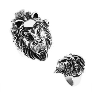 Prsten z oceli 316L, stříbrná barva, hlava lva, čelenka s pírky, lebky - Velikost: 65 obraz