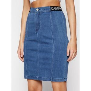 Džínová sukně Calvin Klein Jeans obraz