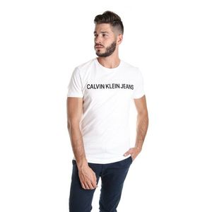 Calvin Klein pánské bílé tričko Core obraz