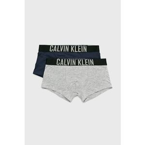 Calvin Klein Underwear - Dětské slipy (2-pack) obraz