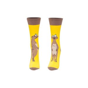 Hnědo-žluté ponožky Surikata obraz