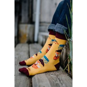 Vícebarevné vzorované ponožky Líška obraz