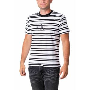 Calvin Klein pánské proužkované tričko obraz