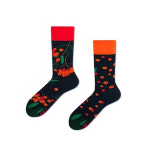 Modro-oranžové ponožky Rowan Berries obraz