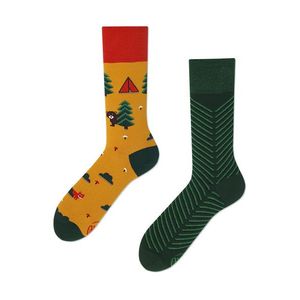 Zeleno-žluté ponožky Scout Memory obraz
