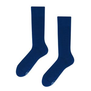 Modré ponožky True Blue obraz