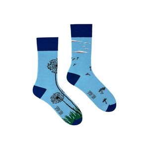 Modré ponožky Spox Sox Dandelion obraz