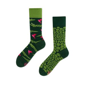 Zelené ponožky Forfiter obraz