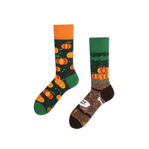 Oranžovo-zelené ponožky The Pumpkins obraz