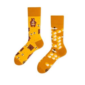 Žluté ponožky Honey Bear obraz