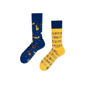 Modro-žluté ponožky Music Notes obraz