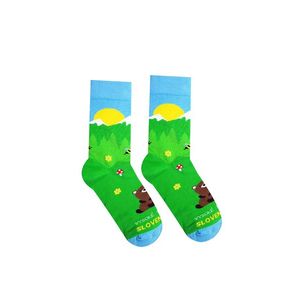 Vícebarevné ponožky High Tatras Bear obraz