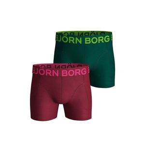 Pánské bordovo-zelené boxerky Neon Solid Sammy Shorts - dvoubalení obraz