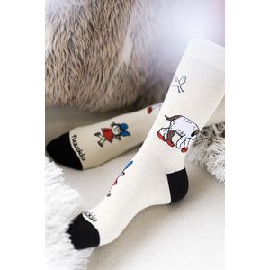 Vícebarevné ponožky Maxidog Fík obraz