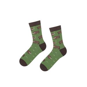 Hnědo-zelené ponožky Bison obraz