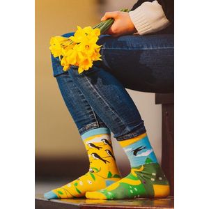 Žluto-zelené ponožky One Swallow Doesn´t Make a Spring obraz