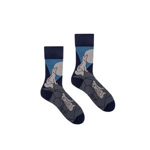 Modro-šedé ponožky Wolves obraz