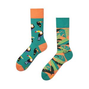 Zelené ponožky Tropical Heat obraz