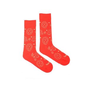 Červené ponožky Garden obraz