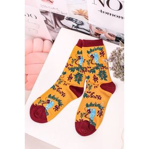 Bordově-žluté ponožky Love Bird Socks obraz