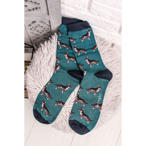 Pánské tyrkysové ponožky Hound Socks obraz
