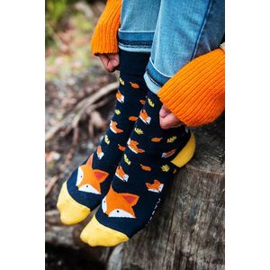 Modro-oranžové ponožky Foxy obraz