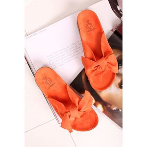 Oranžové pantofle Vivien obraz