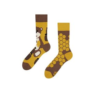Žluto-hnědé ponožky Honey Bear obraz