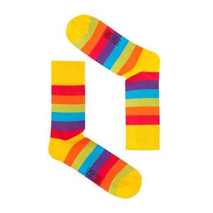 Unisex vícebarevné ponožky Spox Sox Rainbow obraz