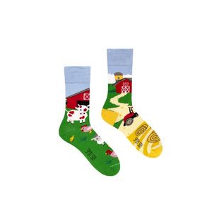Vícebarevné ponožky Farm obraz