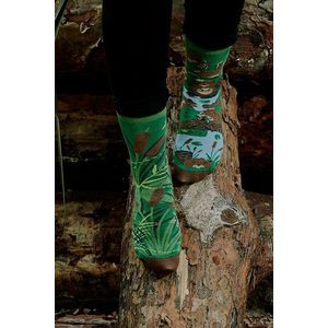 Hnědo-zelené ponožky Beavers obraz