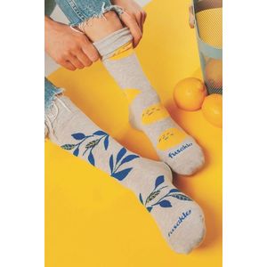Šedo-žluté ponožky Lemonade obraz