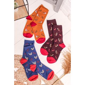 Vícebarevné ponožky Felice Bamboo British Birds Socks Pack - trojbalení obraz