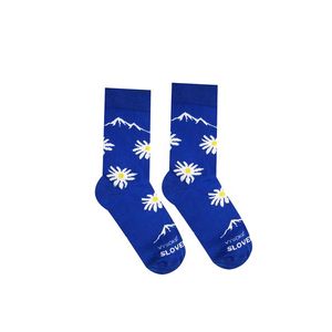 Modro-bílé ponožky High Tatras Flower obraz
