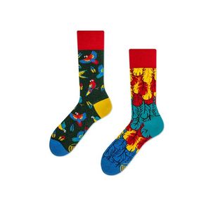Vícebarevné vzorované ponožky Paradise Parrot obraz